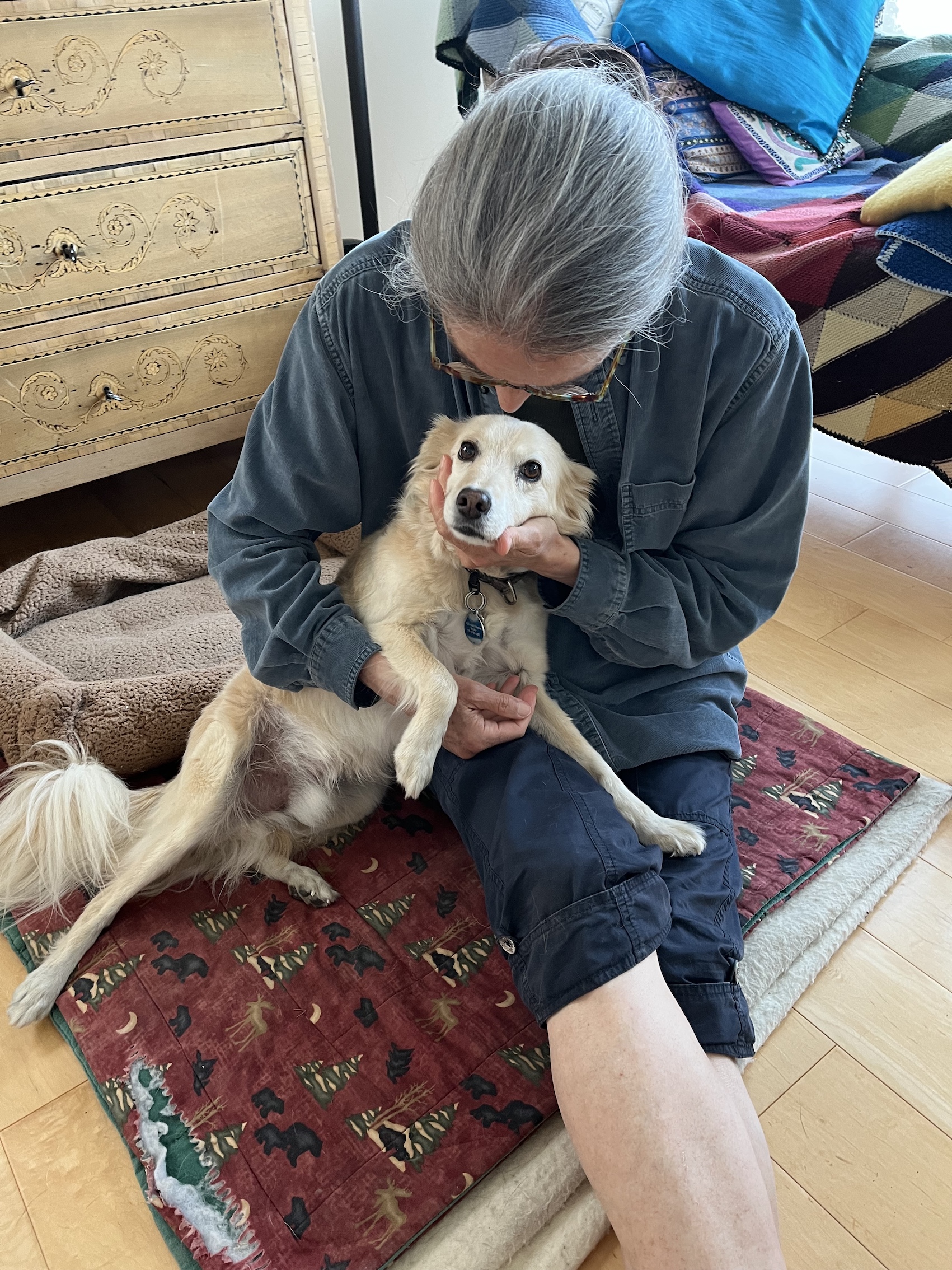 Pets
