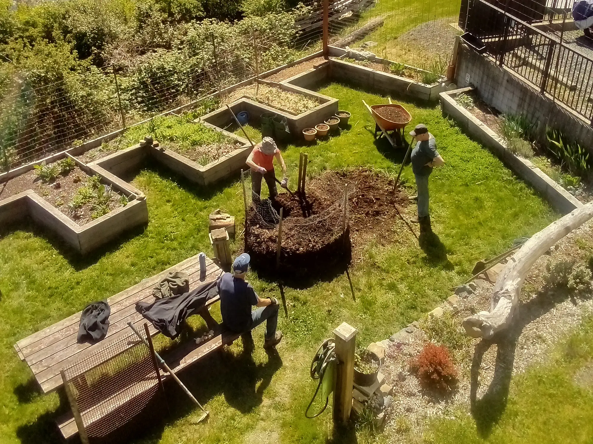 Garden at Harbourside Cohousing Sooke