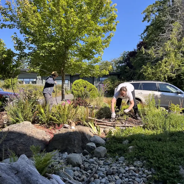 Irrigation Setup - Harbourside Cohousing