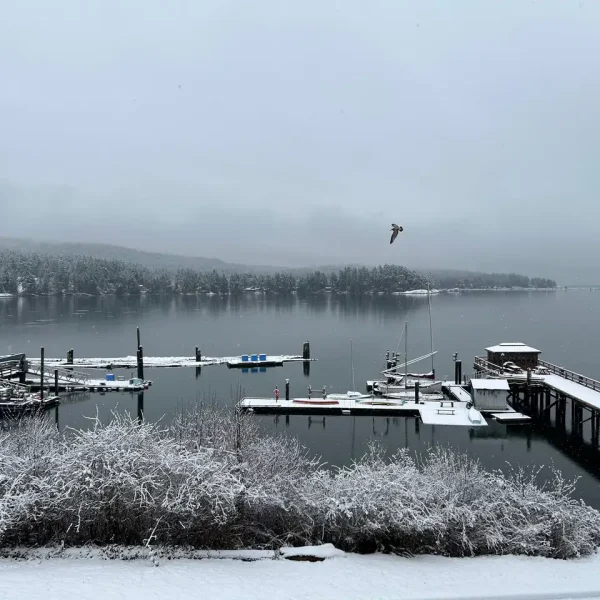 Winter View at Harbourside Cohousing Sooke